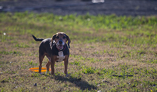 This is Oddie just looking handsome